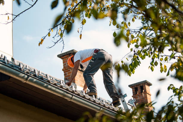 Reliable Montevideo, MN Roofing Contractor Solutions