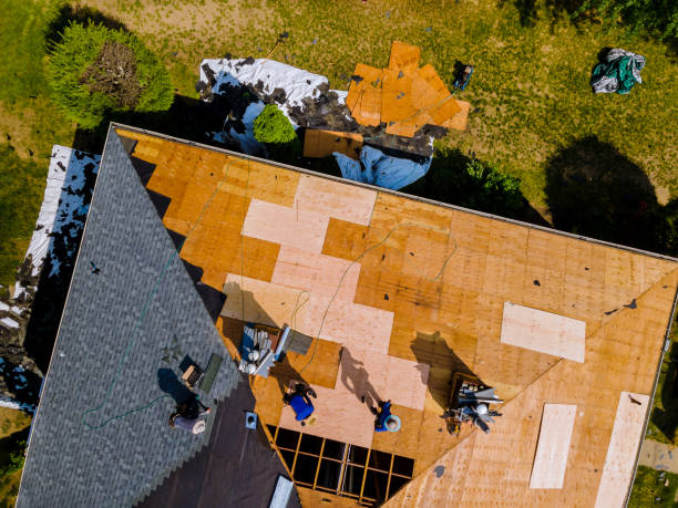 Best Commercial Roofing Services  in Montevideo, MN