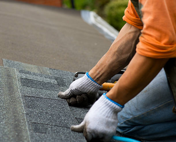 Best Flat Roof Repair Services  in Montevideo, MN