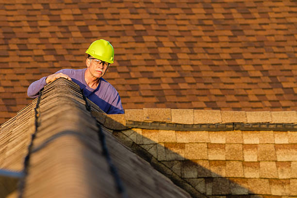 Best Roof Gutter Cleaning  in Montevideo, MN