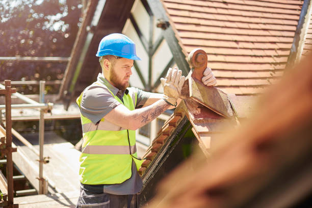 Best Roof Maintenance Services  in Montevideo, MN